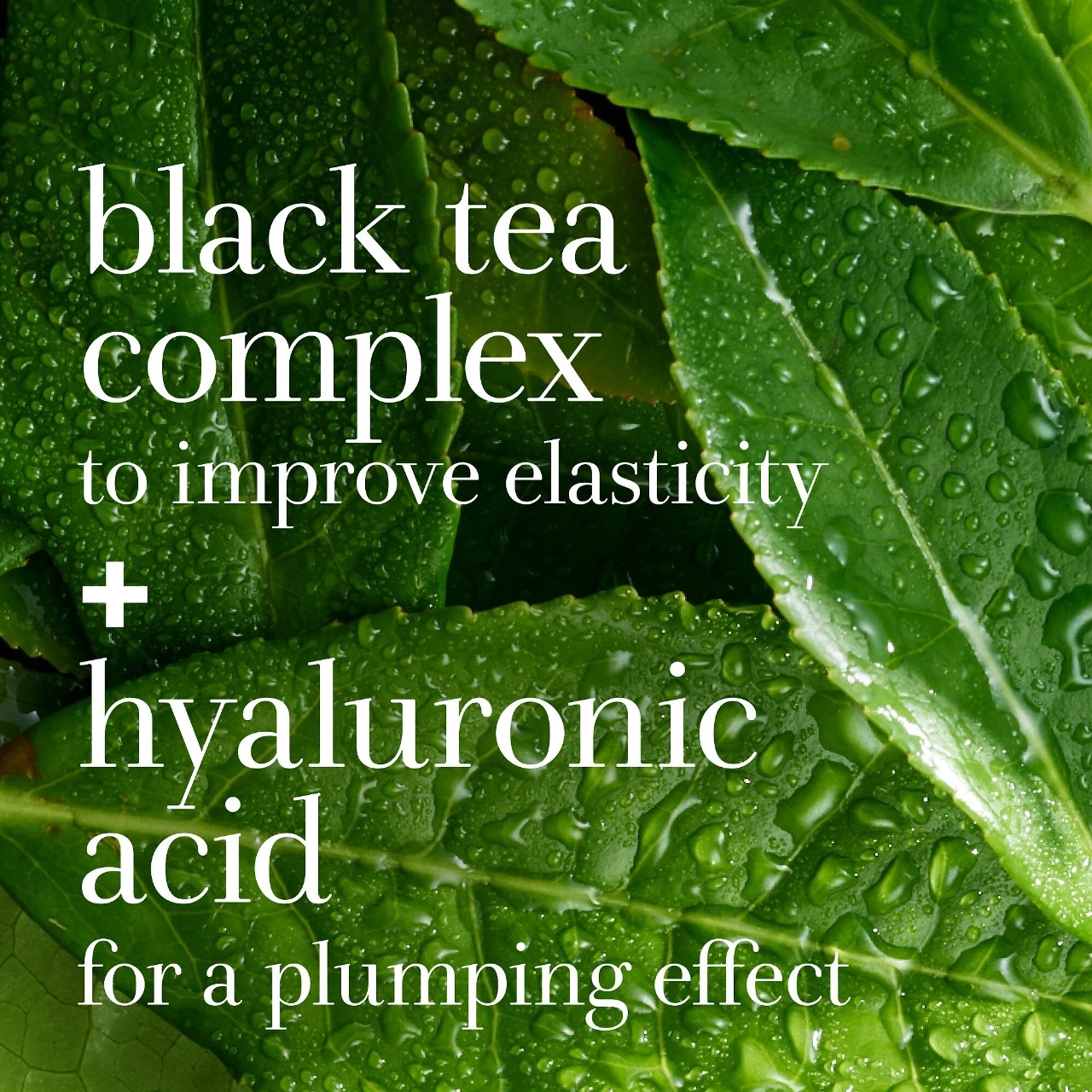 Fresh Black Tea Instant Perfecting Mask 1 oz/30 mL Hydrating for Oily, Combo, Normal Skin - Image 7