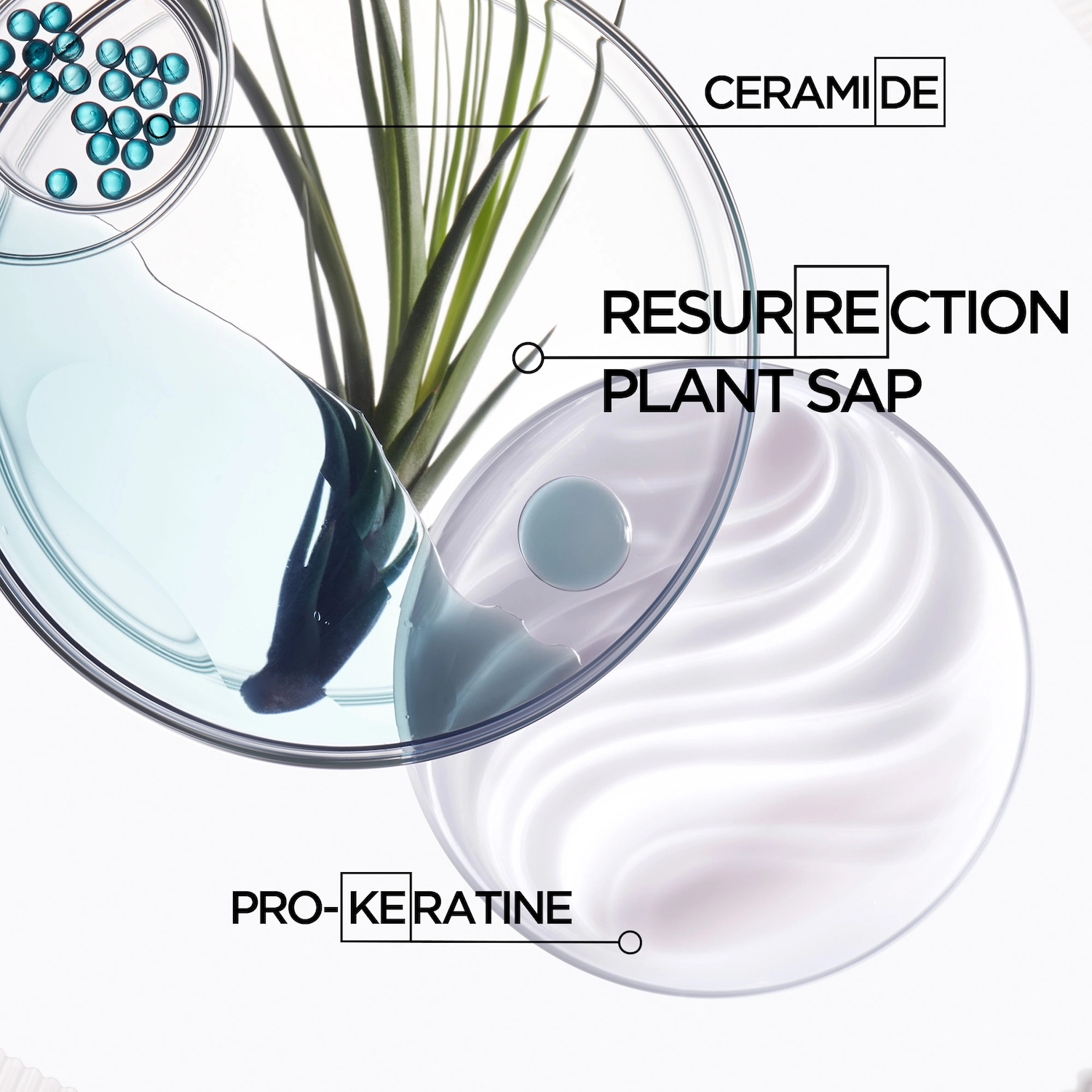 Kérastase Resistance Strengthening Conditioner for Damaged Hair 6.8 oz/200 mL - Image 6