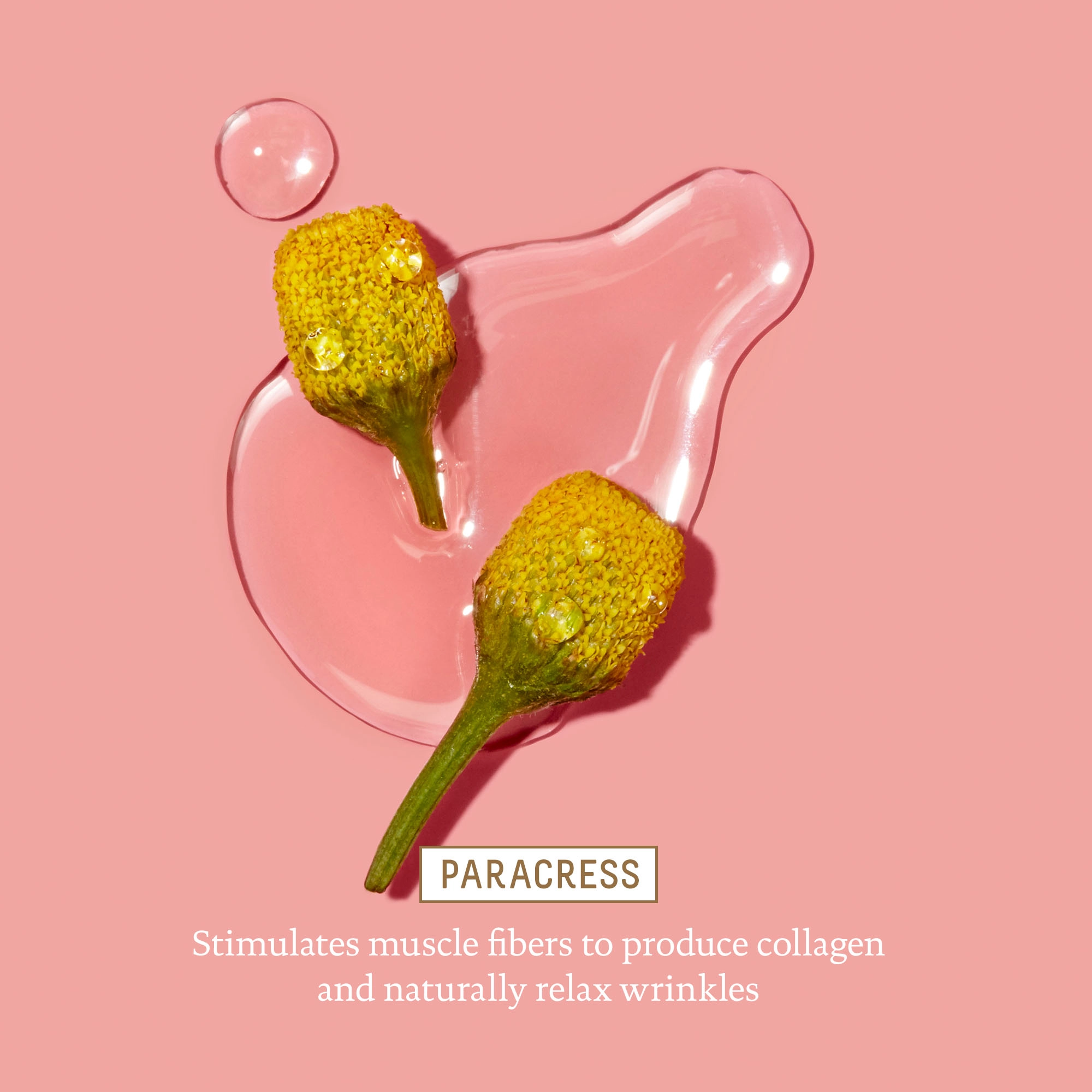 Biossance Squalane + Marine Algae Firming & Lifting Eye Cream 0.5 oz / 15 mL - Image 5