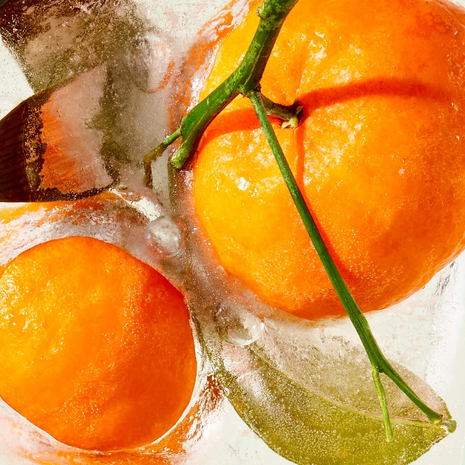 Tata Harper Water-Lock Refillable Moisturizer with Skin-Smoothing Peptides & Hyaluronic Acid 1.7 oz/ 50 mL - Image 3