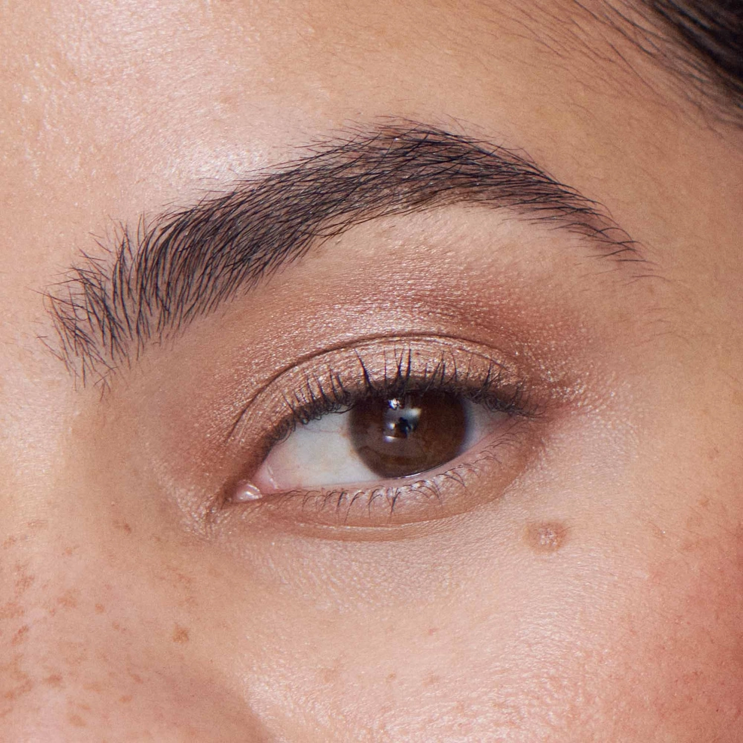 ILIA Liquid Powder Eye Shadow Tint - Color: Fresco - Image 4