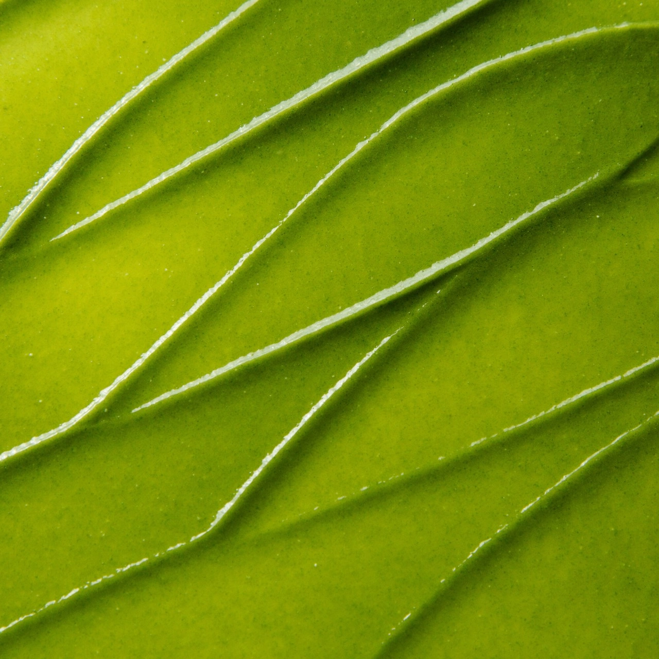 Kate Somerville Glow In A Wink ExfoliKate® Bestsellers Set Limited Edition - Image 5