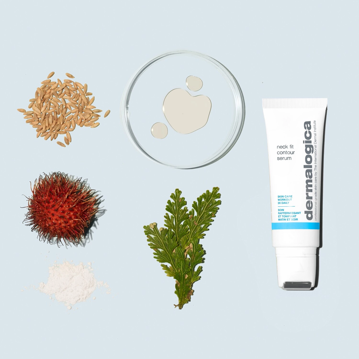 Dermalogica Neck Fit Contour Serum - Vegan, Loss of Firmness, Hydrating, Anti-Aging, Without Parabens - Image 2