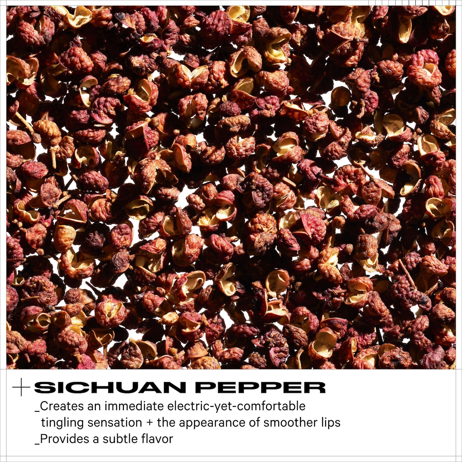 MILK MAKEUP Electric Glossy Lip Plumper - Lola Mauve Color Vegan - Image 5