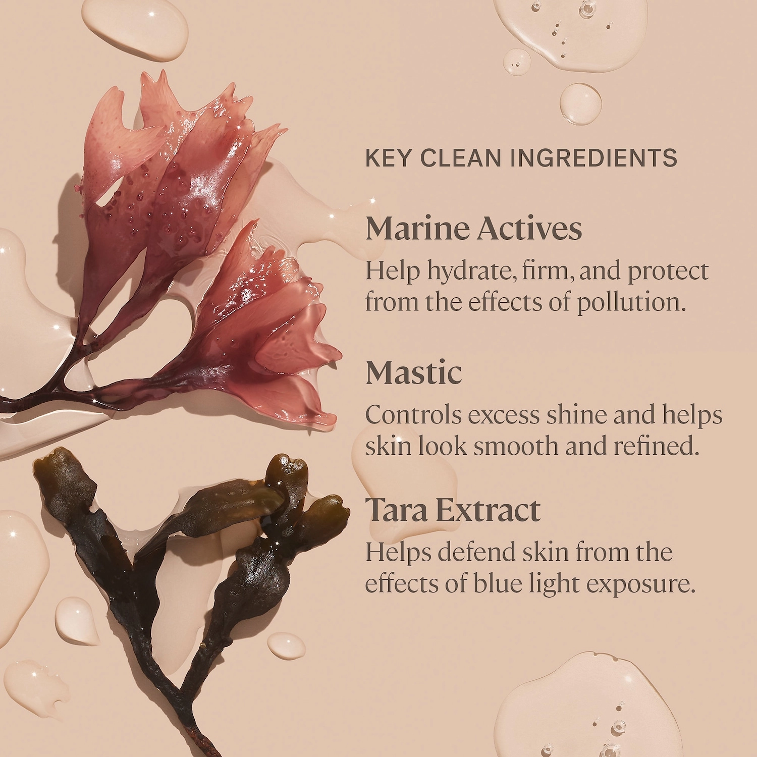 ILIA Blue Light Protect + Set Mist 0.4 oz/14 mL Vegan Natural Finish - Image 6