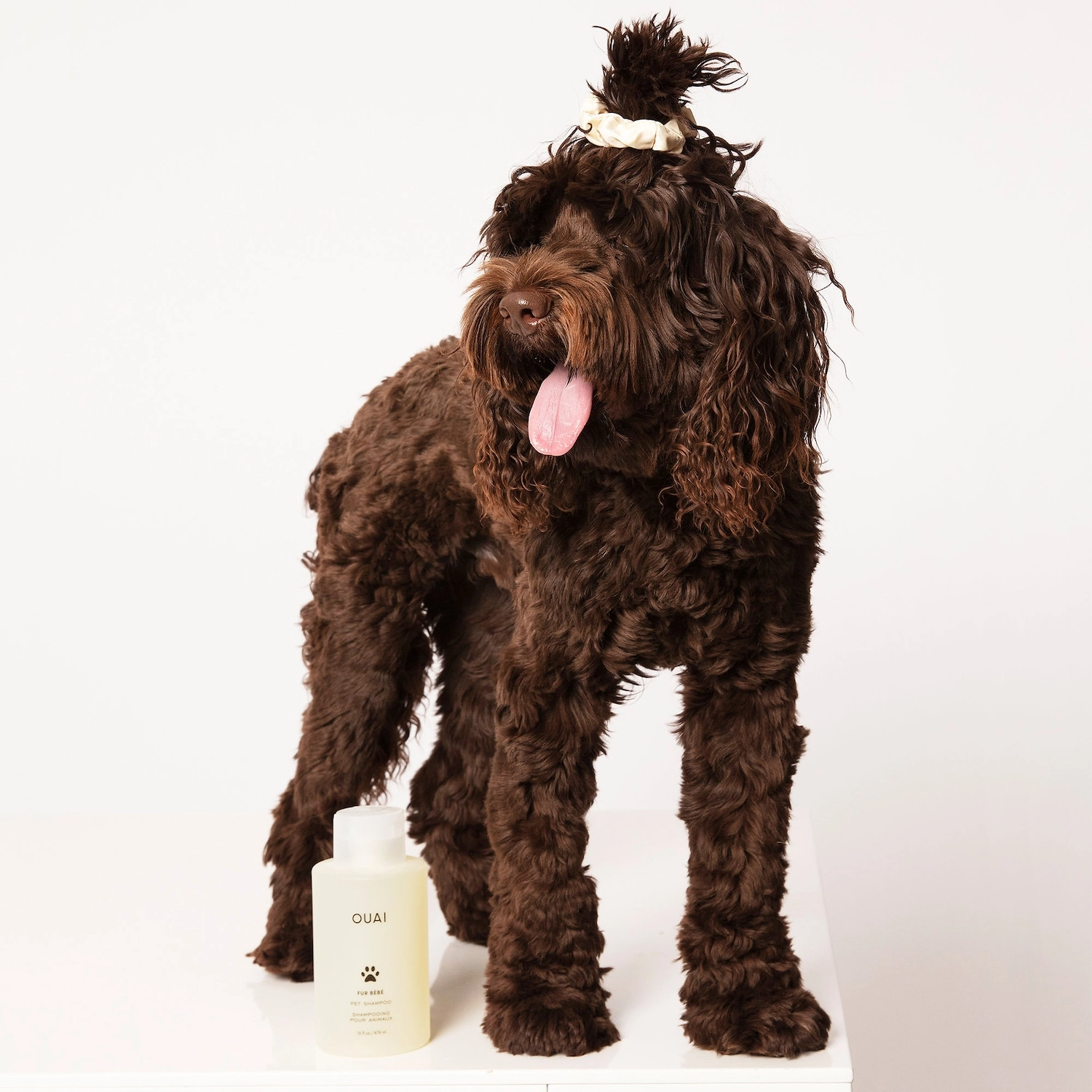 OUAI Pet Shampoo 16 oz/474 mL Vegan Without Parabens Sulfates SLS & SLES - Image 4