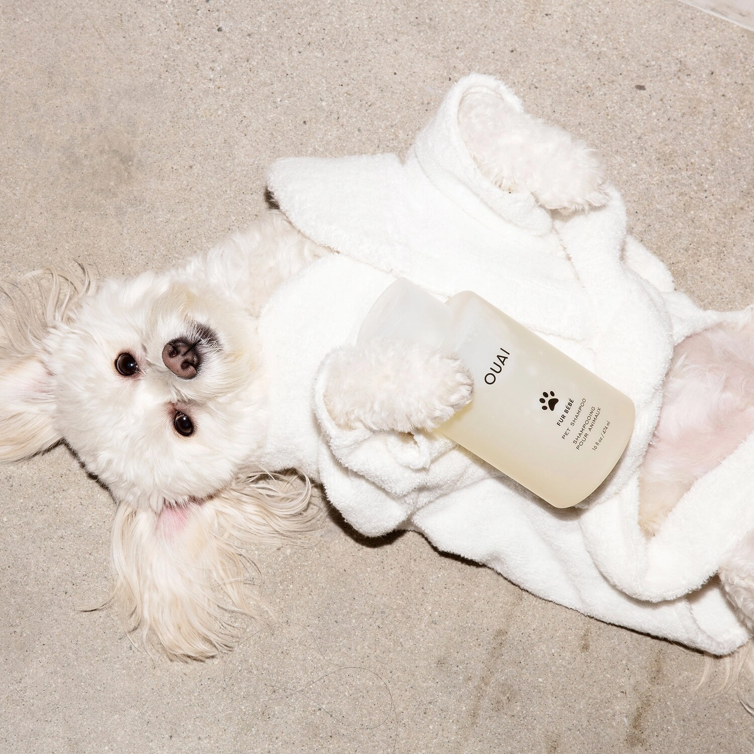 OUAI Pet Shampoo 16 oz/474 mL Vegan Without Parabens Sulfates SLS & SLES - Image 5