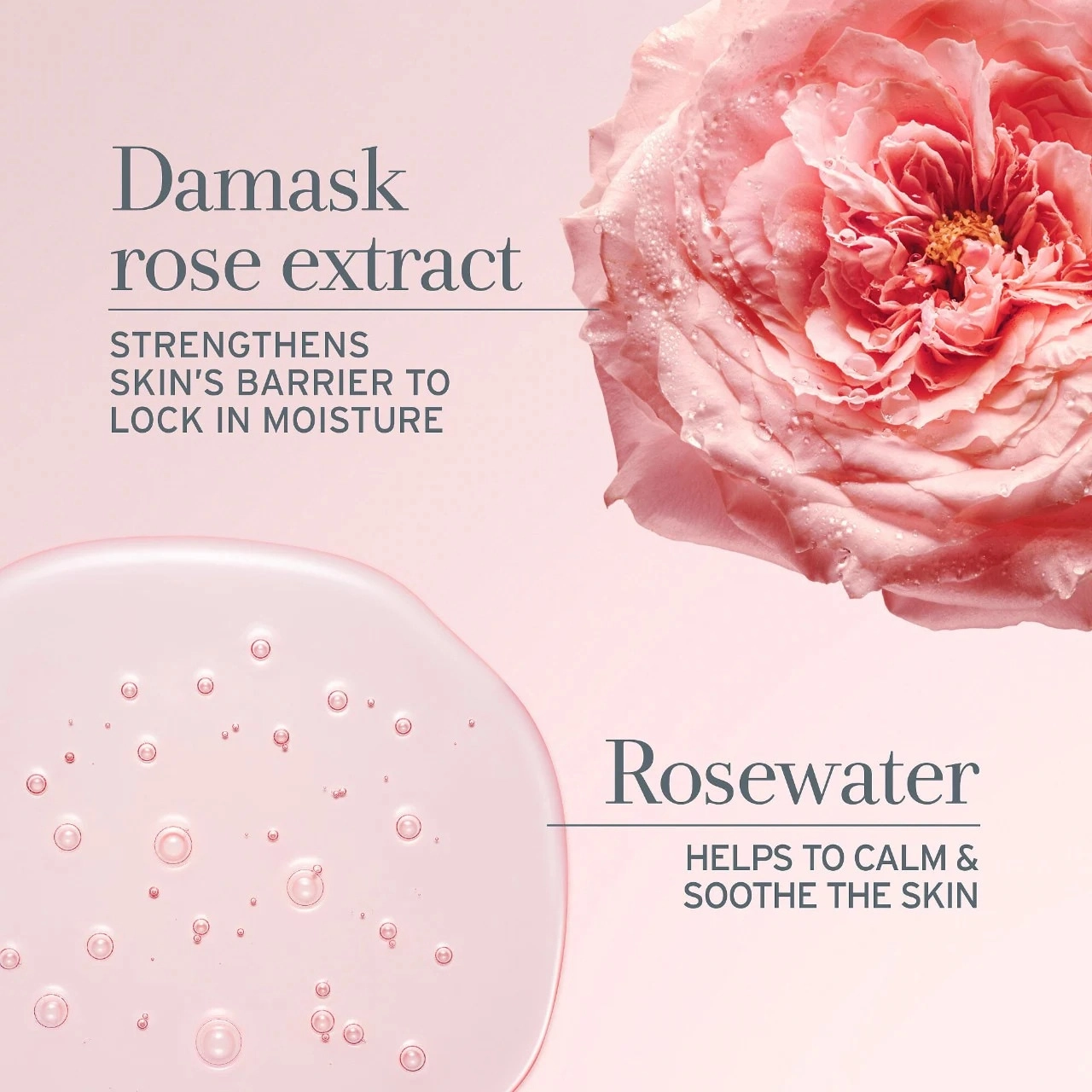 Fresh Rose & Hyaluronic Acid Deep Hydration Moisturizer 0.5 oz/15 mL - Image 13