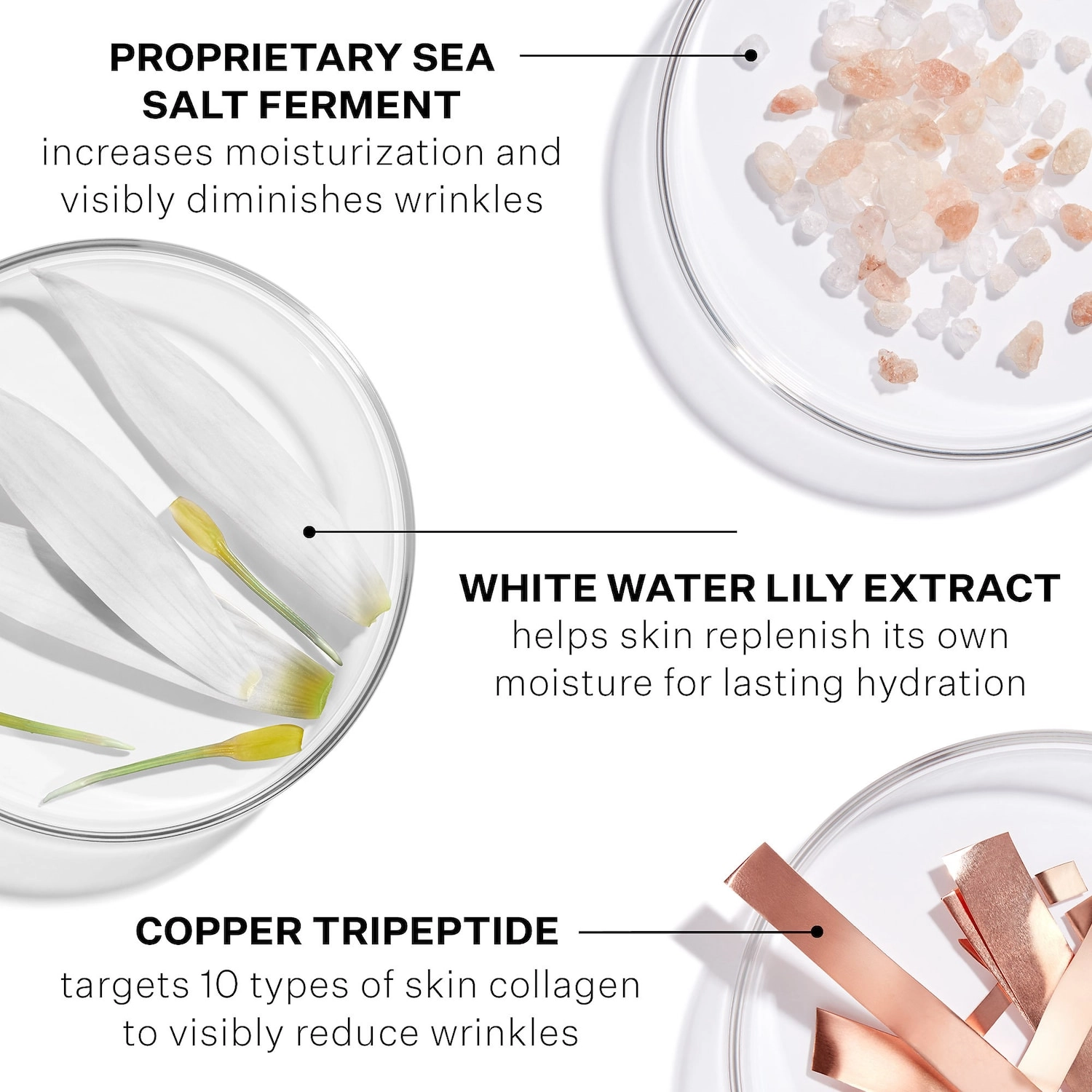 StriVectin SD Advanced PLUS Intensive Moisturizer for Wrinkles & Stretch Marks 2 oz/60 mL - Image 6