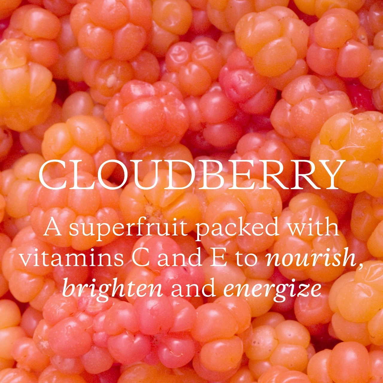 KORA Organics Berry Bright Firming Vitamin C Eye Cream 0.5 oz / 15 mL - Image 5