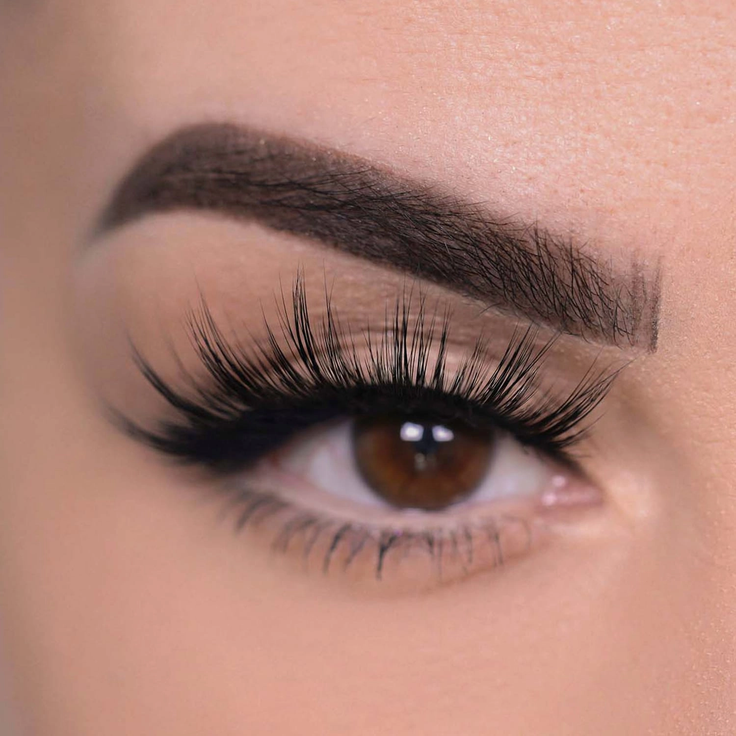 Anastasia Beverly Hills Norvina® False Lashes Vegan Cruelty-Free - Image 4