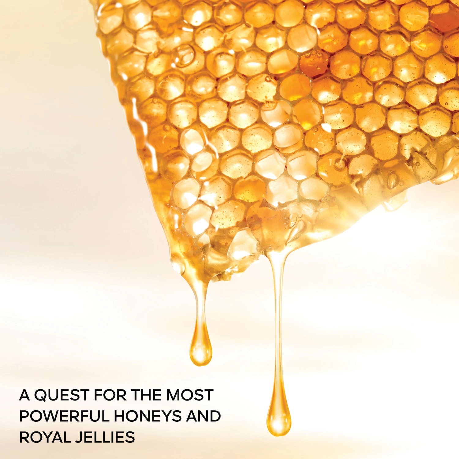 GUERLAIN Abeille Royale Advanced Youth Watery Oil 1.6 oz/50 mL Radiant Finish - Image 4