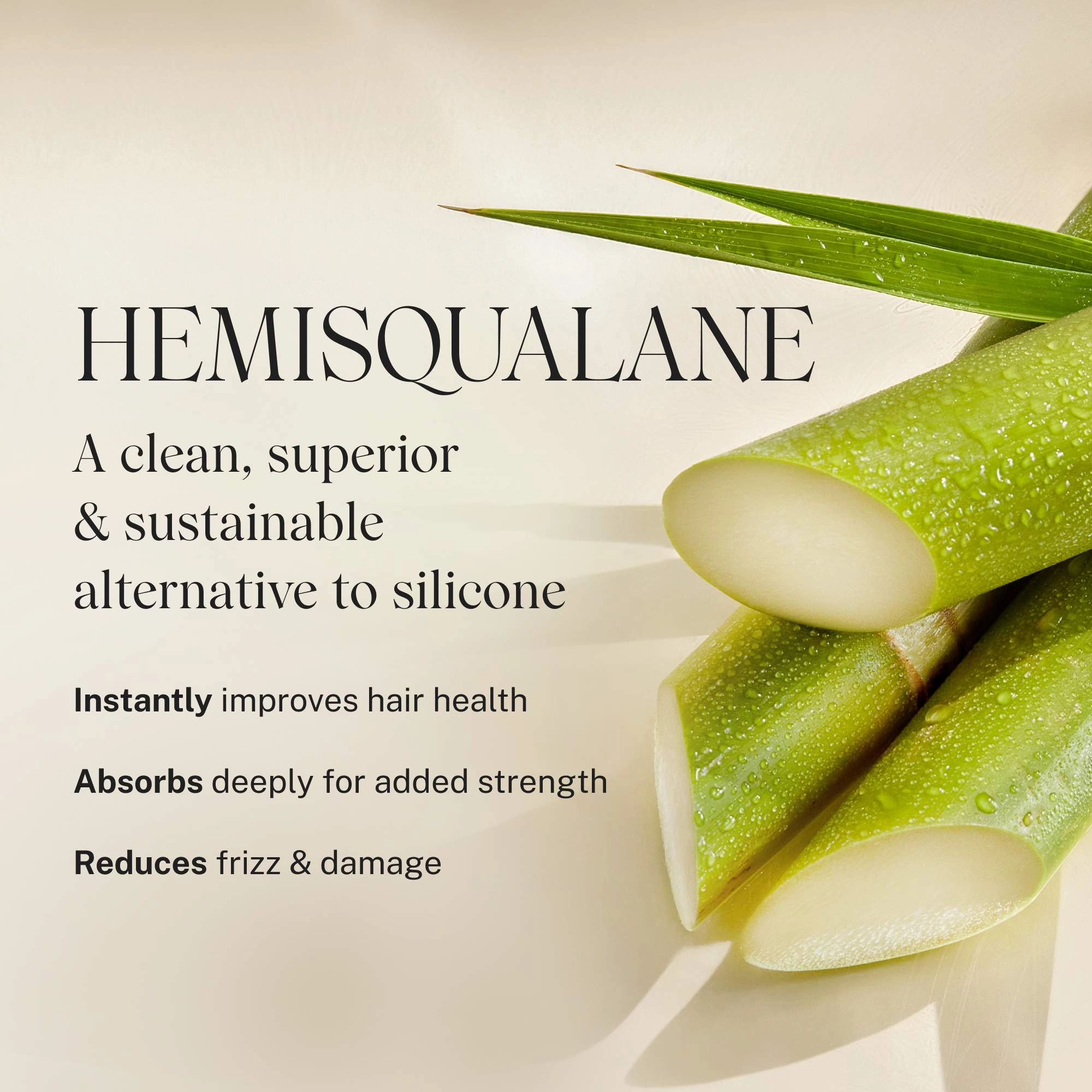 JVN Embody Daily Volumizing Conditioner 10 oz/295 mL Clean + Planet Positive - Image 4