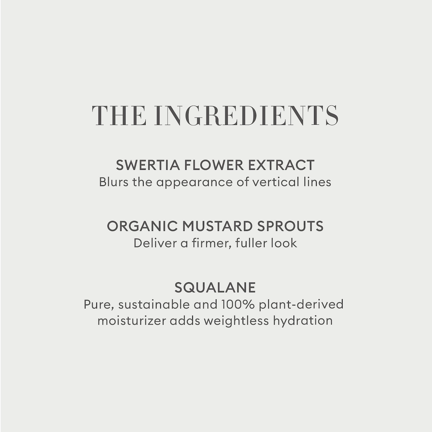 ROSE INC Satin Lip Color Refillable Hydrating Lipstick - Poised, Deep Brick - Image 8
