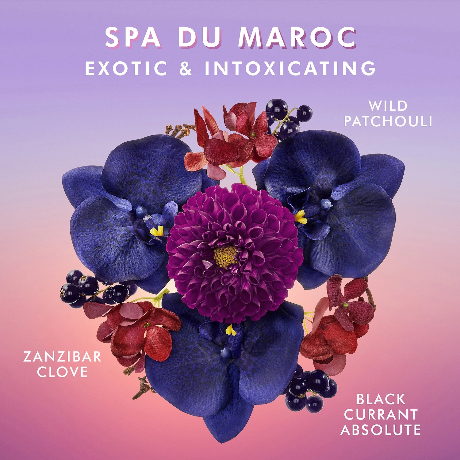 Moroccanoil Body Lotion Moisturizer - Spa du Maroc, Good for Uneven Texture, Dryness, Oily/Combo/Normal Skin, Without Parabens/Silicones - Image 2