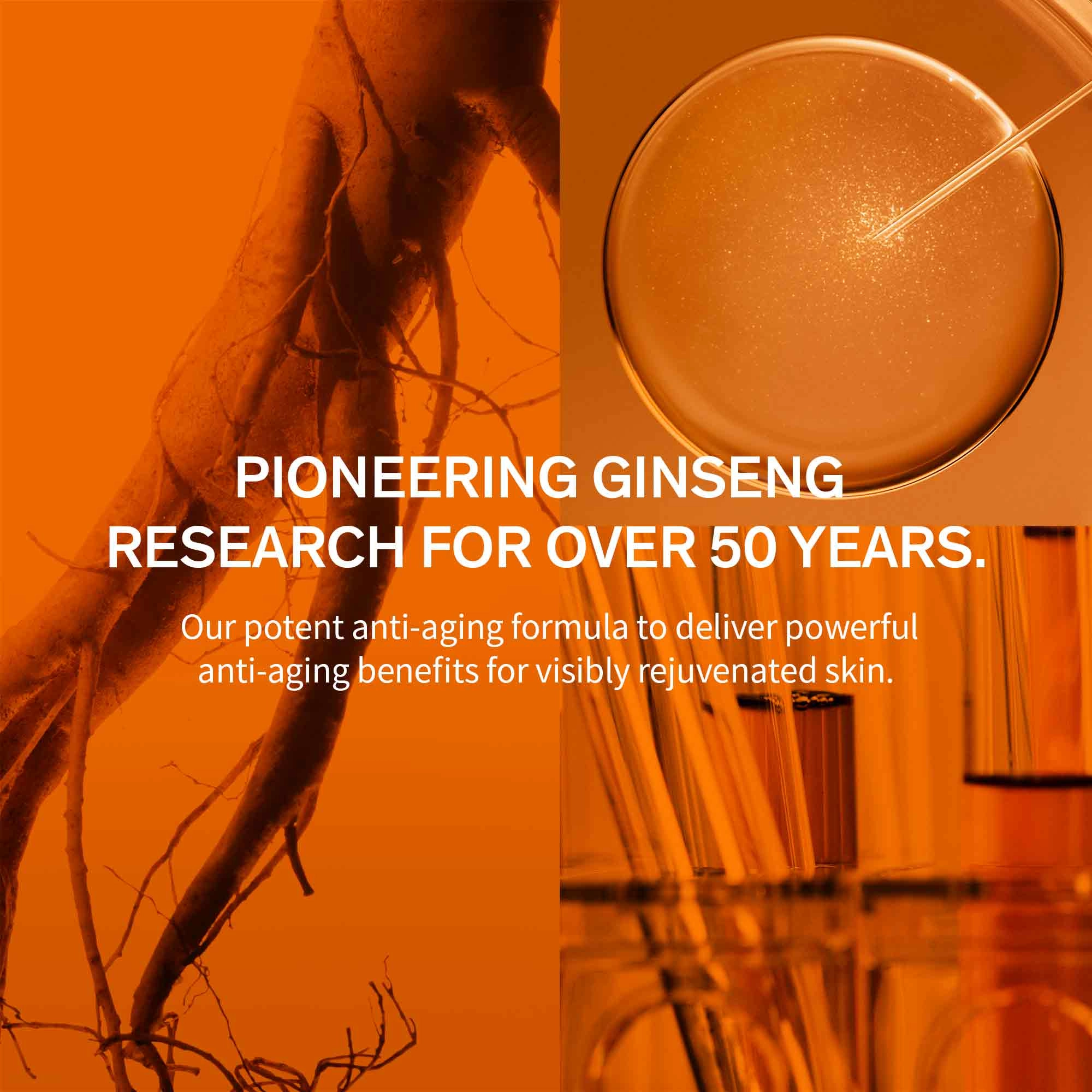 Sulwhasoo Concentrated Ginseng Renewing Cream Size: 0.33 oz/10 mL - Image 3