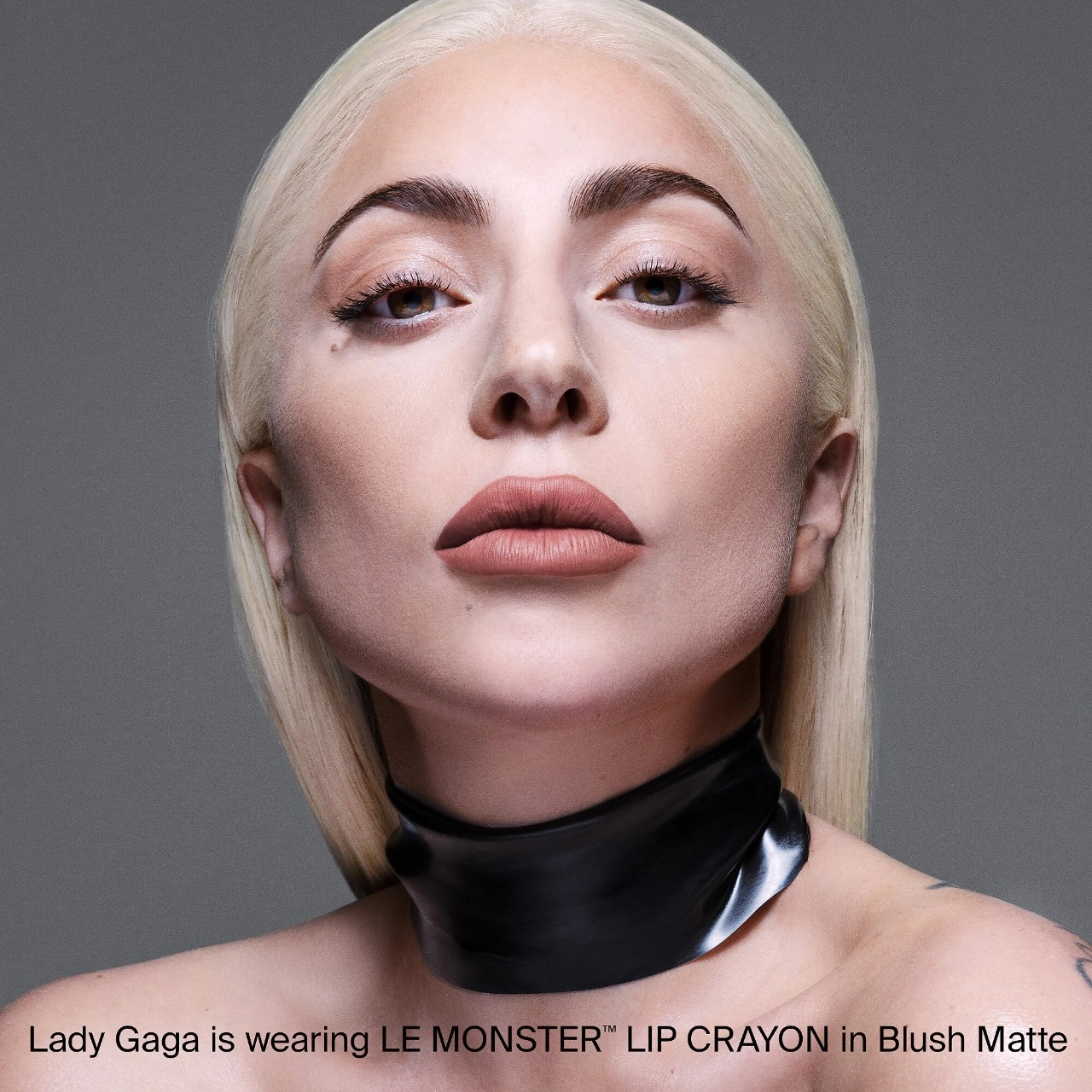 HAUS LABS BY LADY GAGA Le Monster Lip Crayon Vegan Lipstick and Lip Liner - Full Coverage, Vegan, Hydrating - Image 6