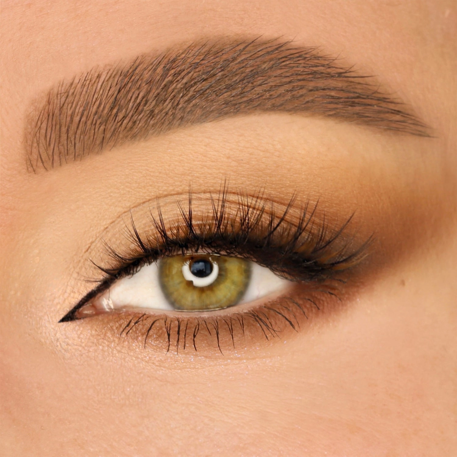 Glamnetic Magnetic False Lashes - Brown Color: Fiesty - Image 7