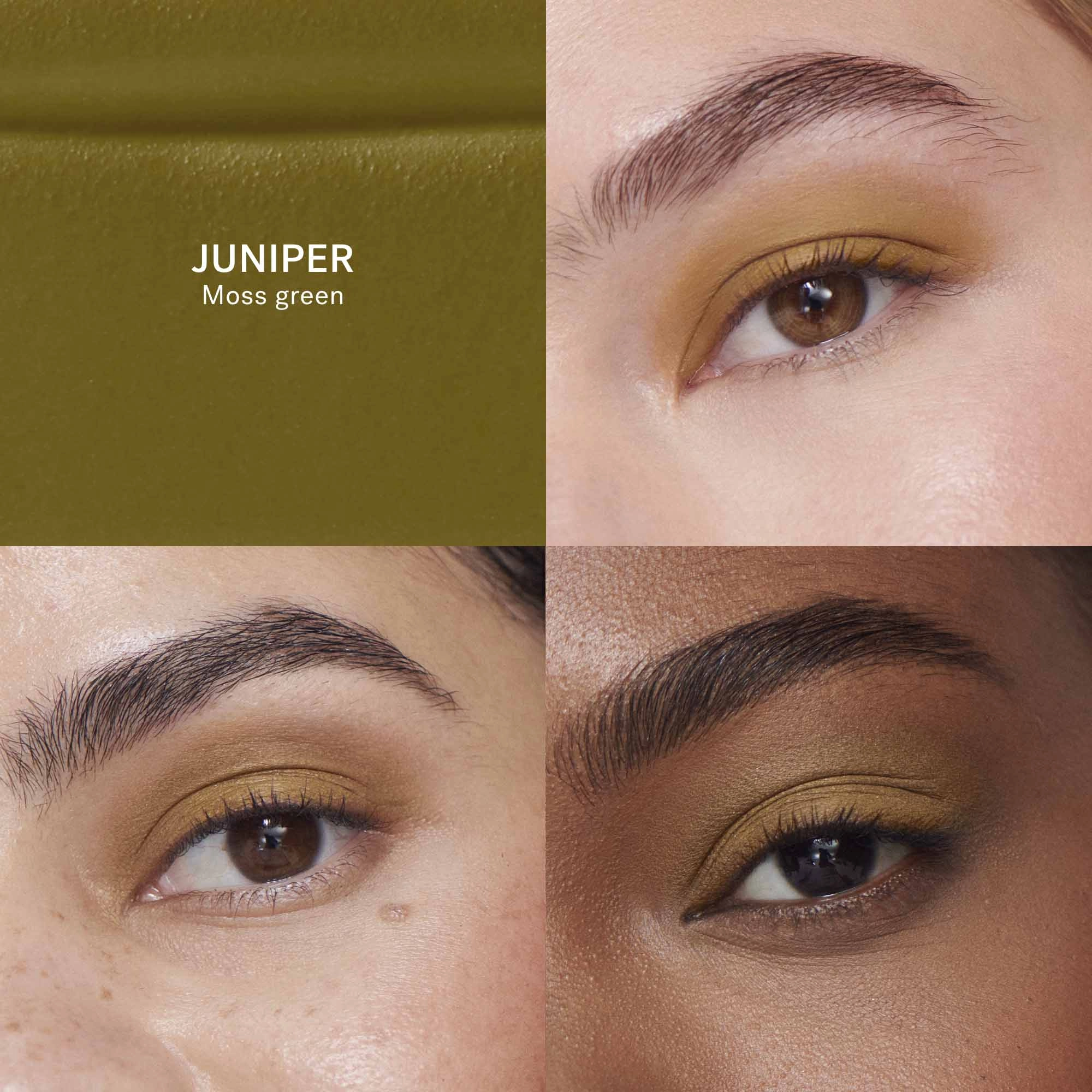 ILIA Liquid Powder Eye Shadow Tint Color: Juniper - Moss Green - Image 3
