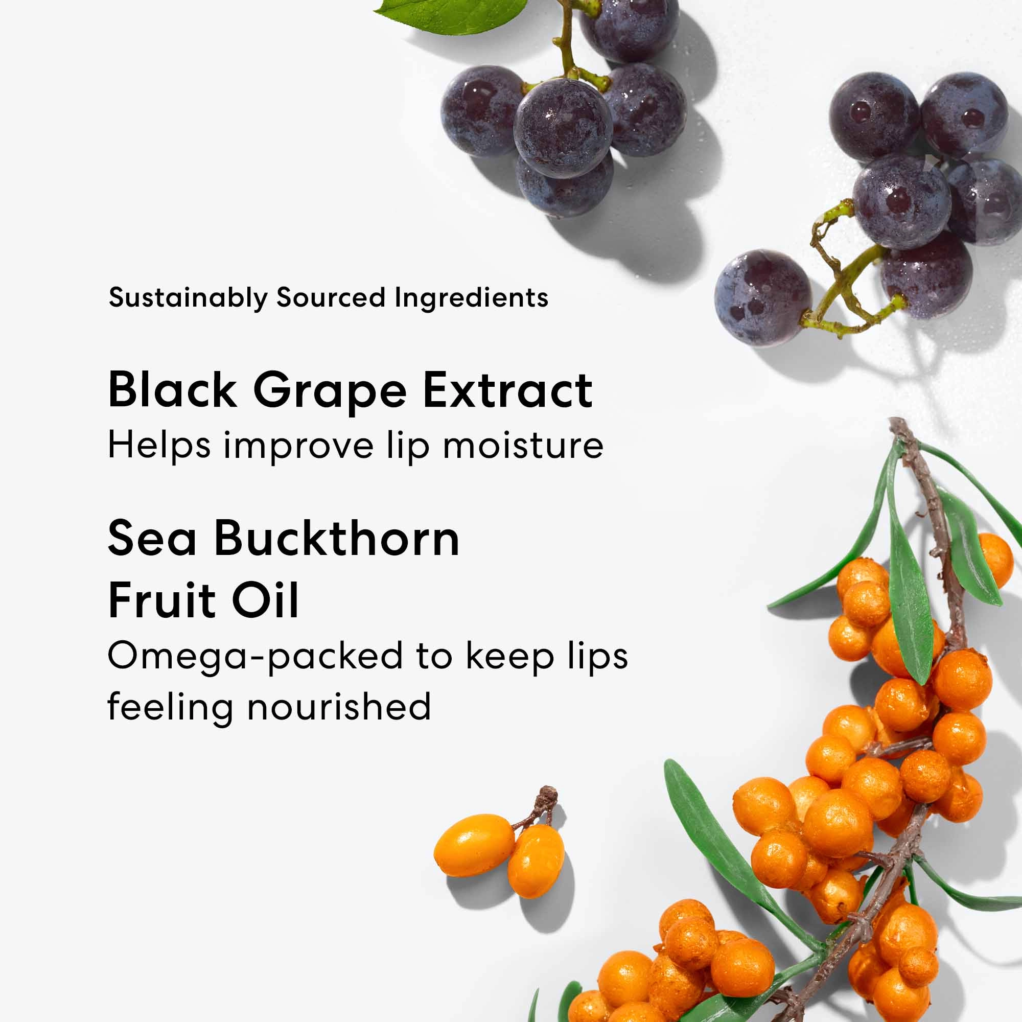 bareMinerals Mineralist Lasting Lip Liner - Blissful Blush, Warm Nude Pink - Image 7