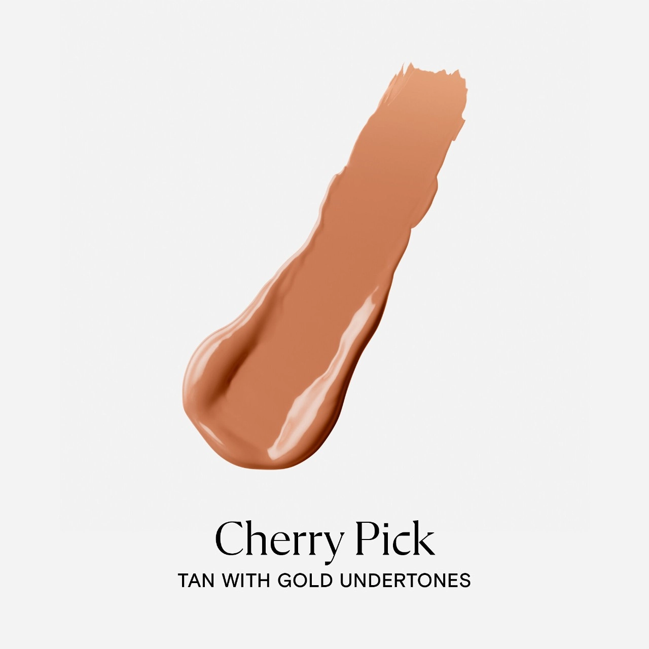 Kulfi Main Match Crease-Proof Long-Wear Hydrating Concealer - Cherry Pick - Image 3