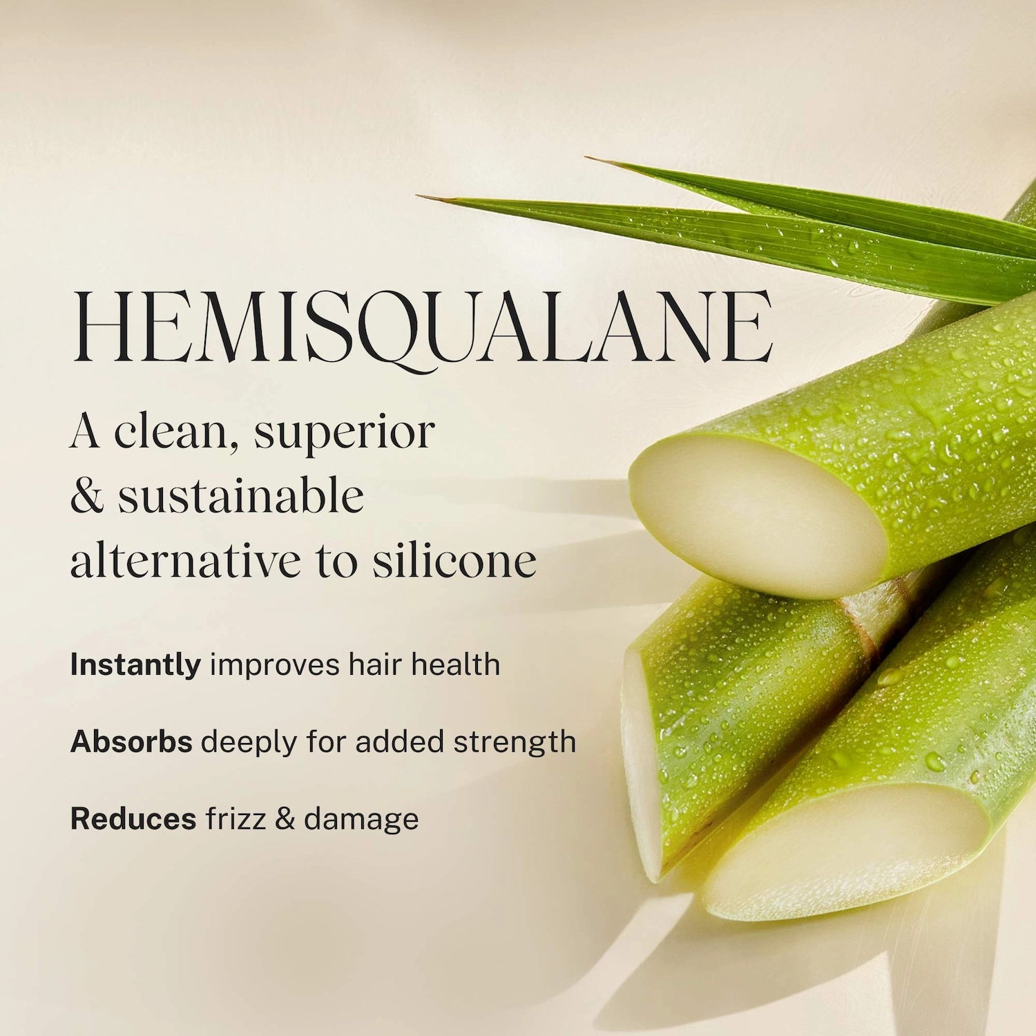 JVN Embody Volumizing Hair Foam - Size: 6.7 oz / 200 mL - Clean + Planet Positive - Volume & Frizz Control - Image 10