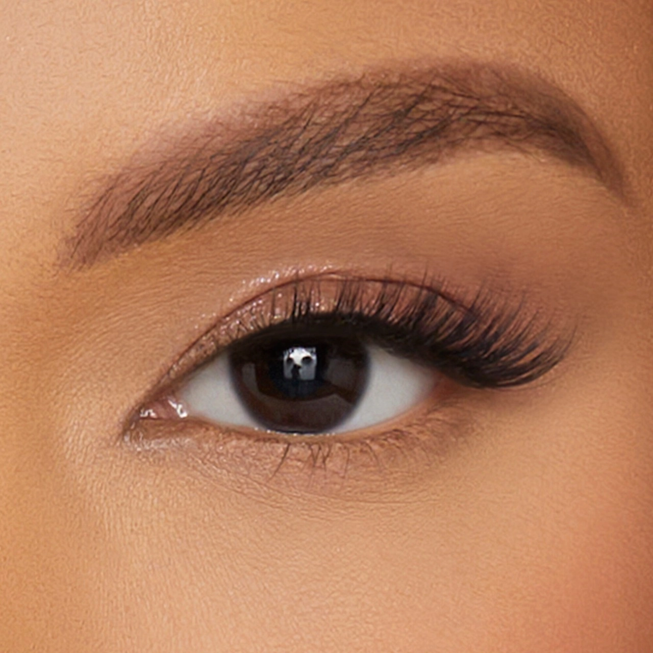 Lilly Lashes 3D Faux Mink Butterfl'eye Half Eyelashes - Dreamy - Image 2