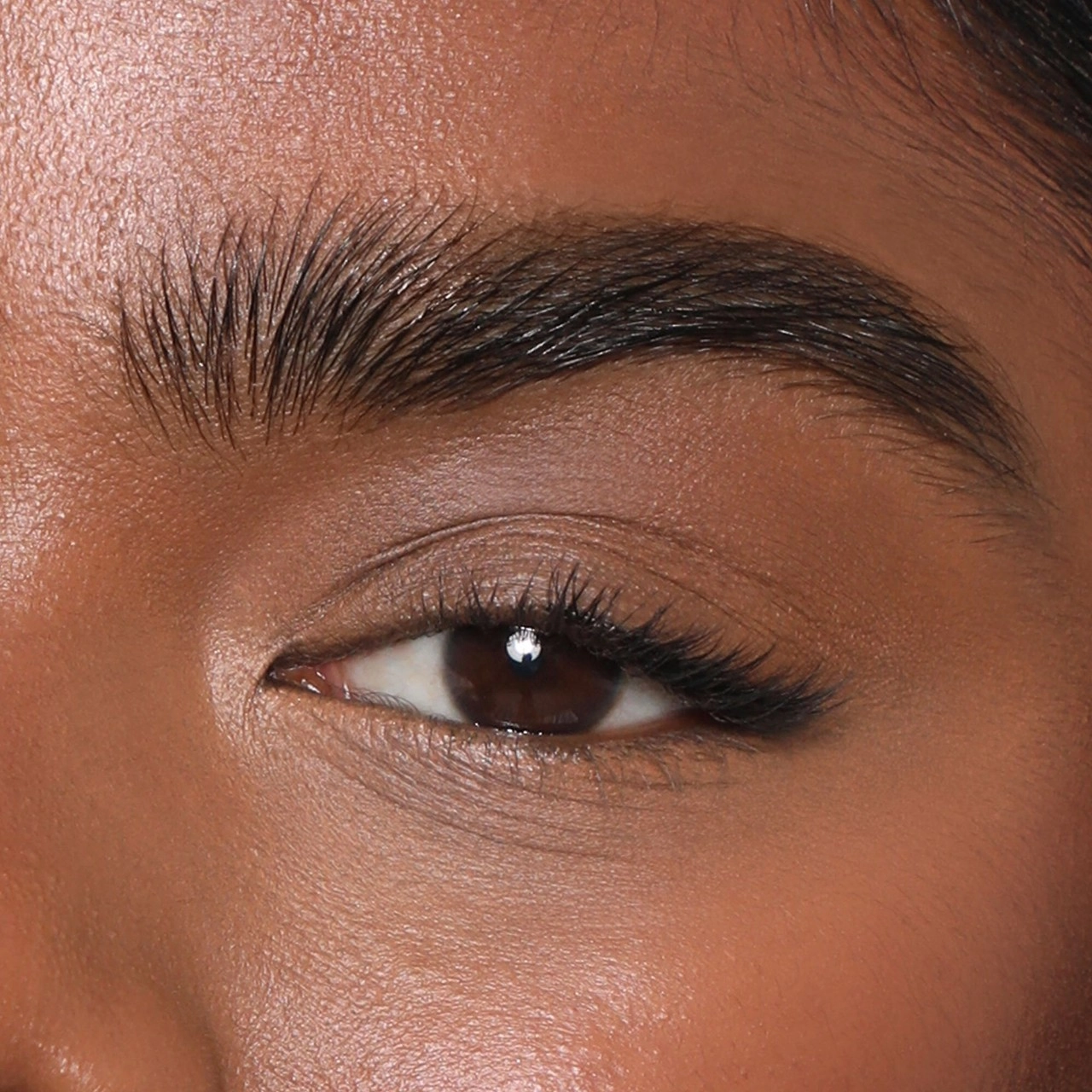 REFY Brow Tint Eyebrow Gel - Black, Long-Wearing, Fragrance-Free - Image 3
