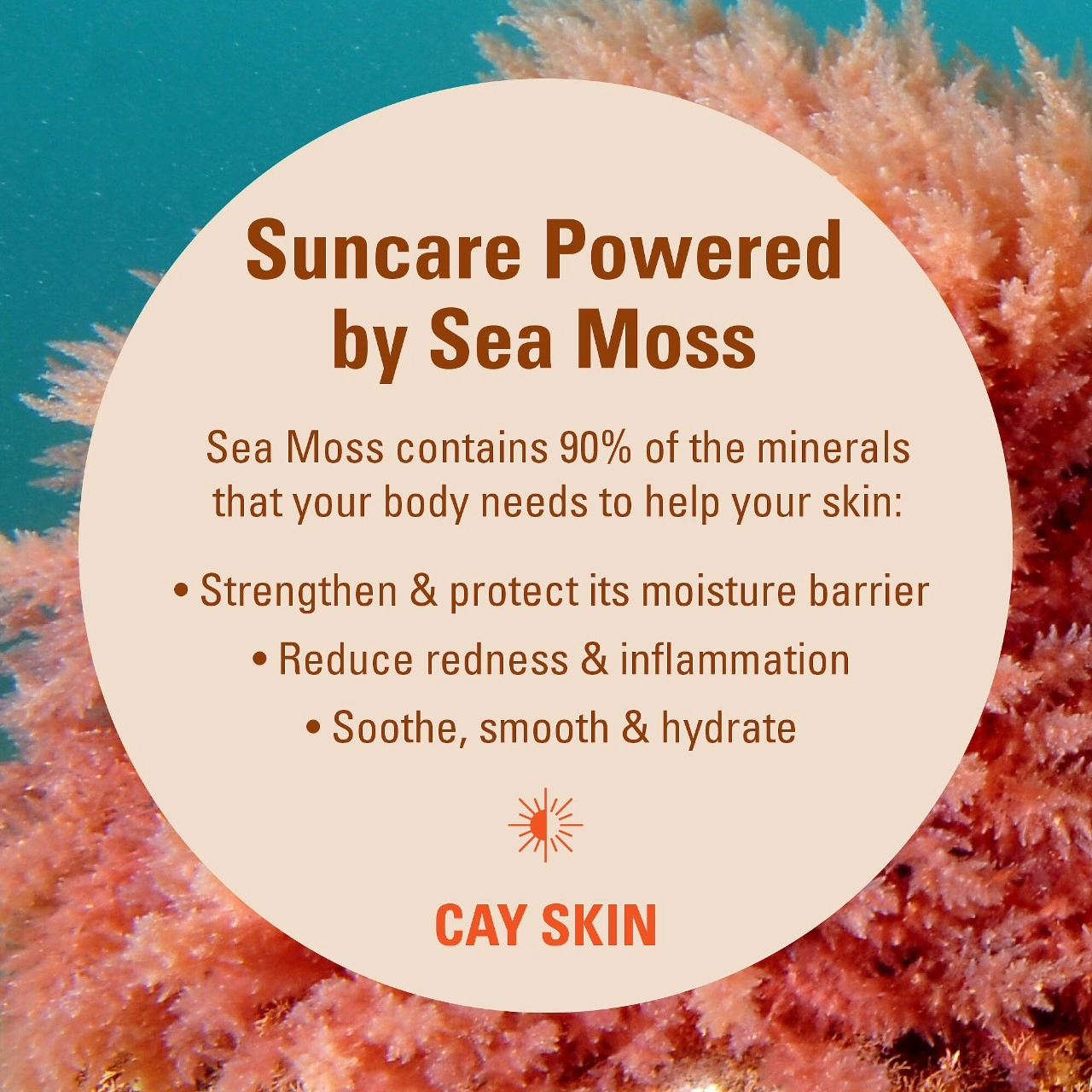 CAY SKIN Isle Glow Face Moisturizer SPF 45 with Sea Moss and Niacinamide 1.5 oz / 45 mL Vegan - Image 3