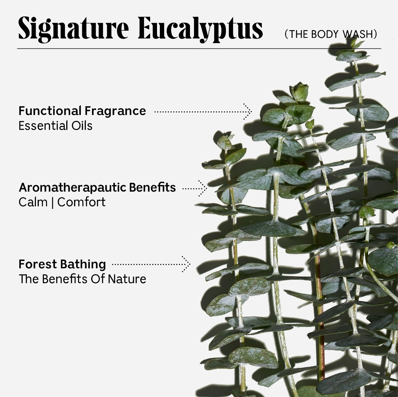 Nécessaire The Body Wash - Eucalyptus, Hydrating, Vegan, 3.4 oz / 100 mL - Image 20