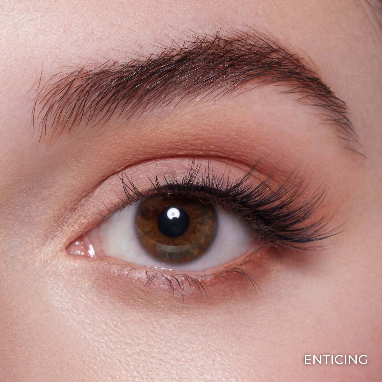 Lilly Lashes Sheer Band False Eyelashes Color: Enticing - Half Lash - Image 3