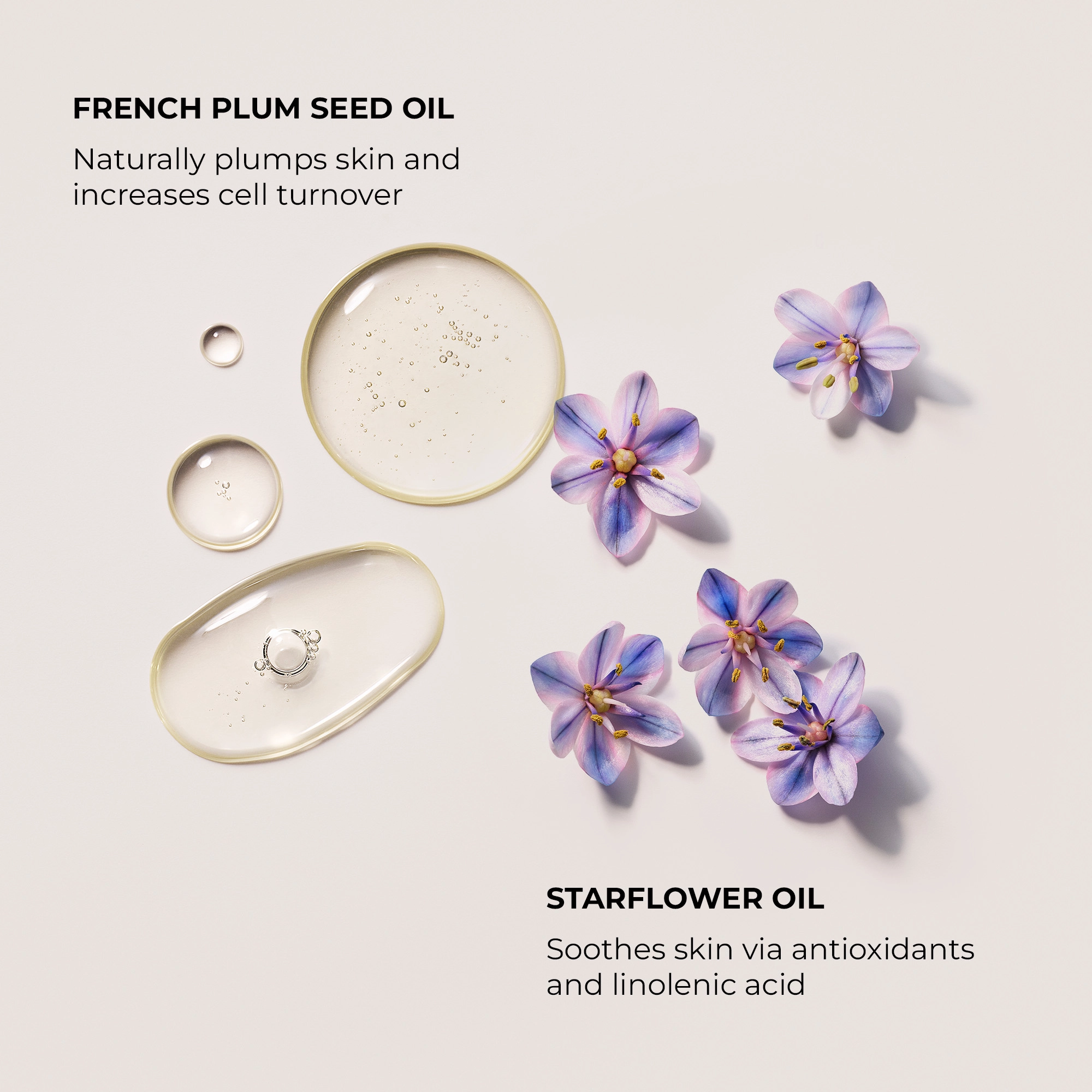 Laura Mercier Aromatic Bath & Body Oil - Ambre Vanille, Dryness, Paraben-Free, Cruelty-Free - Image 5