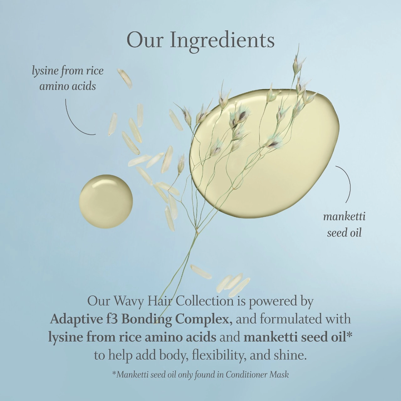 Function of Beauty PRO Recovery Collection for Wavy, Damaged Hair - Restore and Elevate Your Wavy Tresses - Image 9